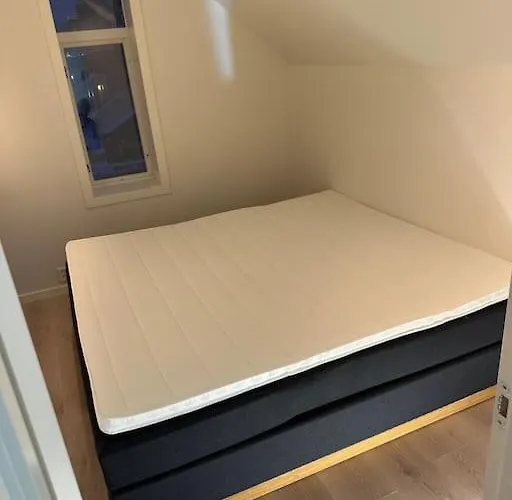 I Hjertet Av Nordens Paris. Tromsø