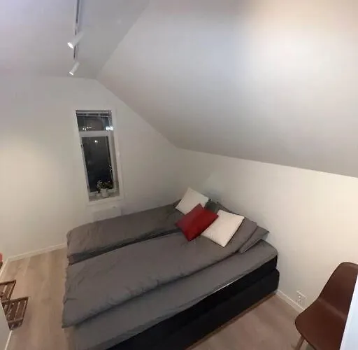 I Hjertet Av Nordens Paris. *